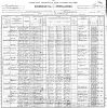 1900 US Census - Philadelphia, Philadelphia, PA - Ward 29, District 734 (p8A)
